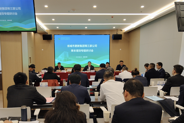 聚力攻坚降成本 深化改革增效益——钱能钱包集团等三家公司召开降本增效专题研讨会